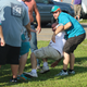 Illustration for article titled Photos: Dolphins, Packers Fans Brawl In Parking Lot
